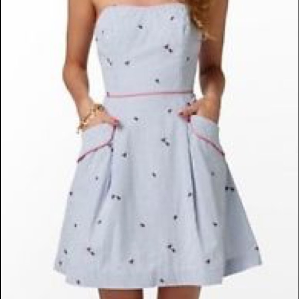 Lilly Pulitzer Size 4 Lady Bug Seersucker Dress